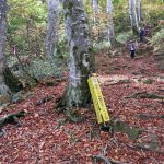 休息ポイントのブナ平に戻りました、紅葉を見る目にも余裕です