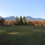 森を抜けると、緑の草原です。紅葉の森の先には山が．．、そうですここは北アルプスの麓です