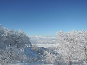 うちのオバはんの撮った写真