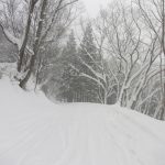 名物の林間コース：林間コースも健在で長い道中はフカフカ雪で楽しめました