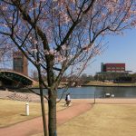 「天門橋」の脇のスタバ：対岸の芝生の上にスターバックスのお店が目に入ります。