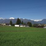 ② 家の前の風景：麦畑の緑の先に山々が映えますね。その昔、加山雄三がテレビロケでこの場所から写真を撮っていました。