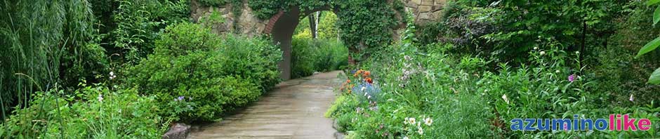 2014/6/22【草花、癒しのスポット】大町市にあるラ・カスタと言うイングリッシュガーデンは手入れされた癒し系の庭園です。
