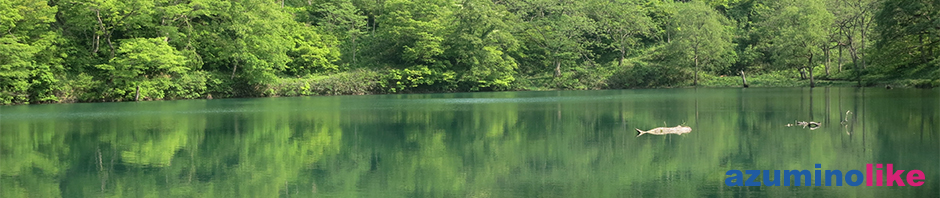 2016/5/15【巨大魚伝説の「高浪の池」】糸魚川市にある「高浪の池」は山中の神秘的な池で、４m台の巨大魚がいたと言う伝説があります。