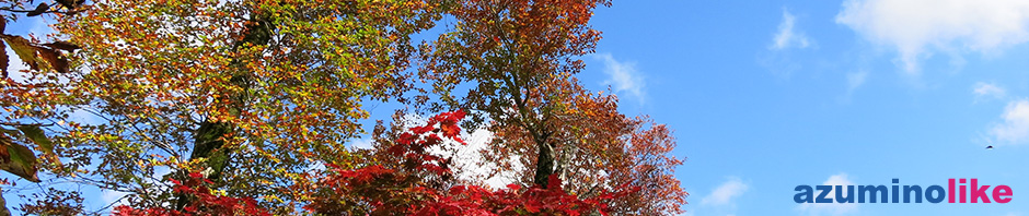 2017/10/17【雨飾山の紅葉】仰ぎ見た青い空に赤と黄色のグラデーションが見事です。心地よい風に散りゆく葉を眺めながら、過ぎゆく季節を感じました。