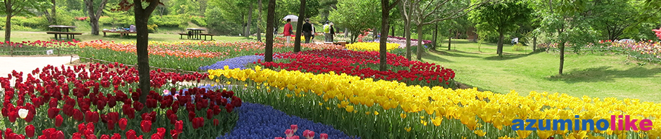 2018/5/1 【 安曇野市・国営あづみの公園】５月連休にかけての春フェスティバルは春爛漫です。