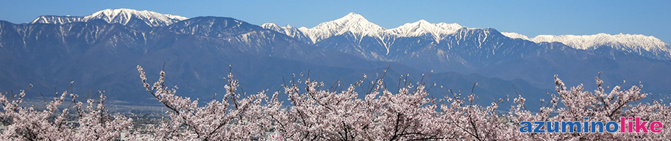 2019/4/20【弘法山の桜と北アルプス】松本・弘法山は古墳の丘全体が満開の桜で覆われ、遠景の北アルプスも映えていました。