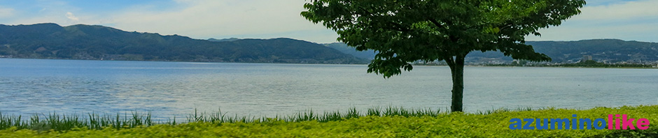 2019/5/22【諏訪湖のほとり】春の遅い諏訪湖もこの時期、緑に溢れていました。