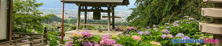 2019/7/15【法船寺のアジサイ】松本市の法船寺はアジサイ寺として有名ですが、小高い丘からは市街地や遠くの山々の眺望も秀麗でした。