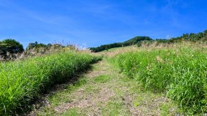 しばらくは直登だ