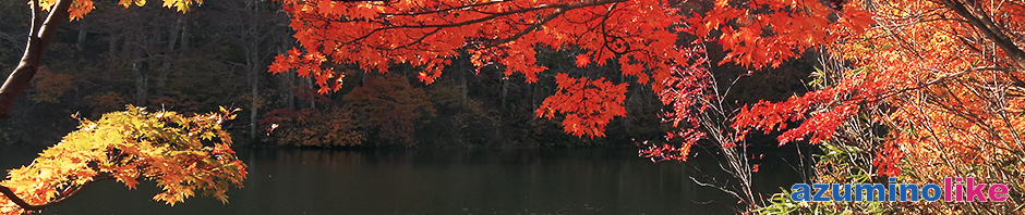 2019/10/30【小谷村・鎌池の紅葉】日本百名山・雨飾山の登山口近くにある鎌池、真紅と黄金の紅葉はまさに圧巻でした。