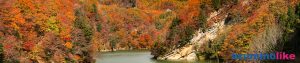 2019/11/4【奥裾花の紅葉】鬼無里村にある奥裾花自然園の入り口、奥裾花大橋から見た紅葉はドローン撮影地としても有名で、その凄さに圧倒的されました。