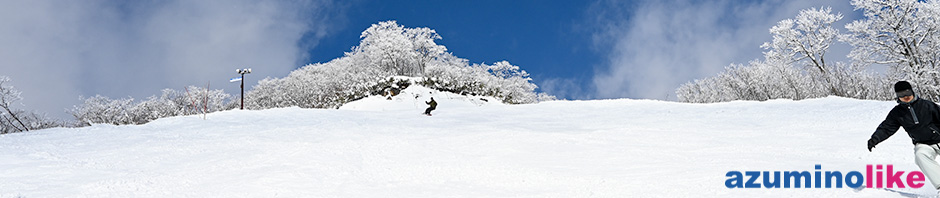 2020/2/2【ごキゲンの白馬コルチナスキー場】本来コルチナは雪深いのですが、雪の少ないシーズンでした。それでも山の上はパウダーで十分楽しめました。