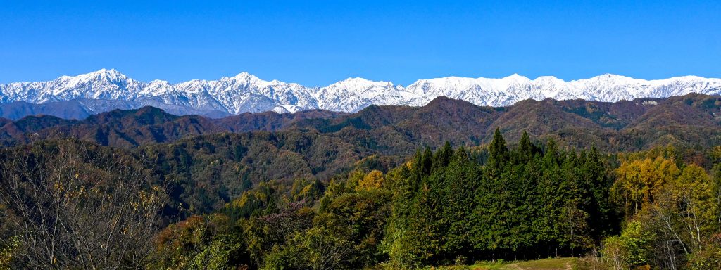 2020/11/5【小川村、北アルプス眺望】後立山連峰の圧倒的な拡がりに絶句。左から鹿島槍ヶ岳、五竜岳、唐松岳そして白馬三山と快晴のもとに揃い踏みです。