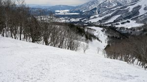 サウスの非圧雪ゾーン。