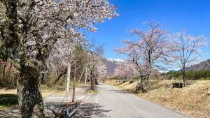 遠くに見える鹿島槍