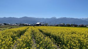 常念岳の左に延びる蝶ヶ岳