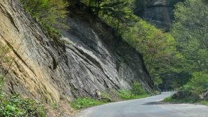 【奥裾2】道路沿いの断層