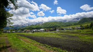 栂池高原に出ました