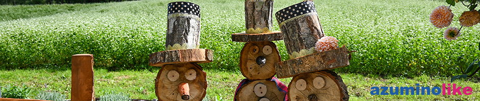2021/9/6【 ソバ畑と木人形】中山高原にあるカフェ「美麻珈琲」では、木製キャラがお出迎えしてくれます。