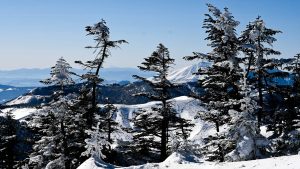 渋峠 富士山遠望