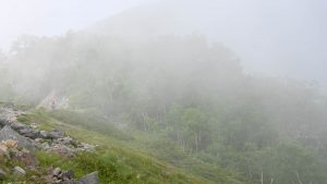 夏山特有の霧